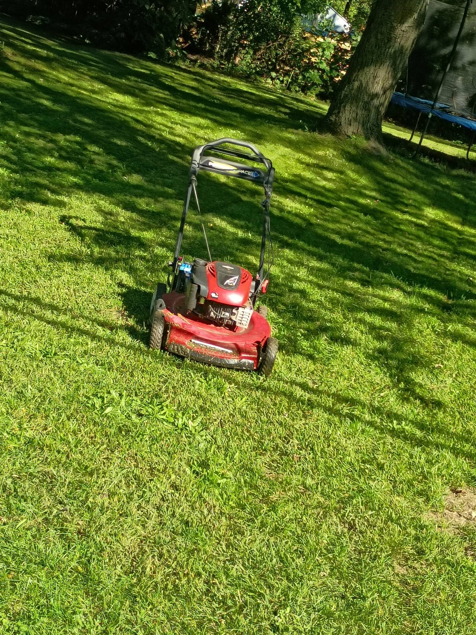 Stand Tall Lawncare push mower on a freshly cut lawn