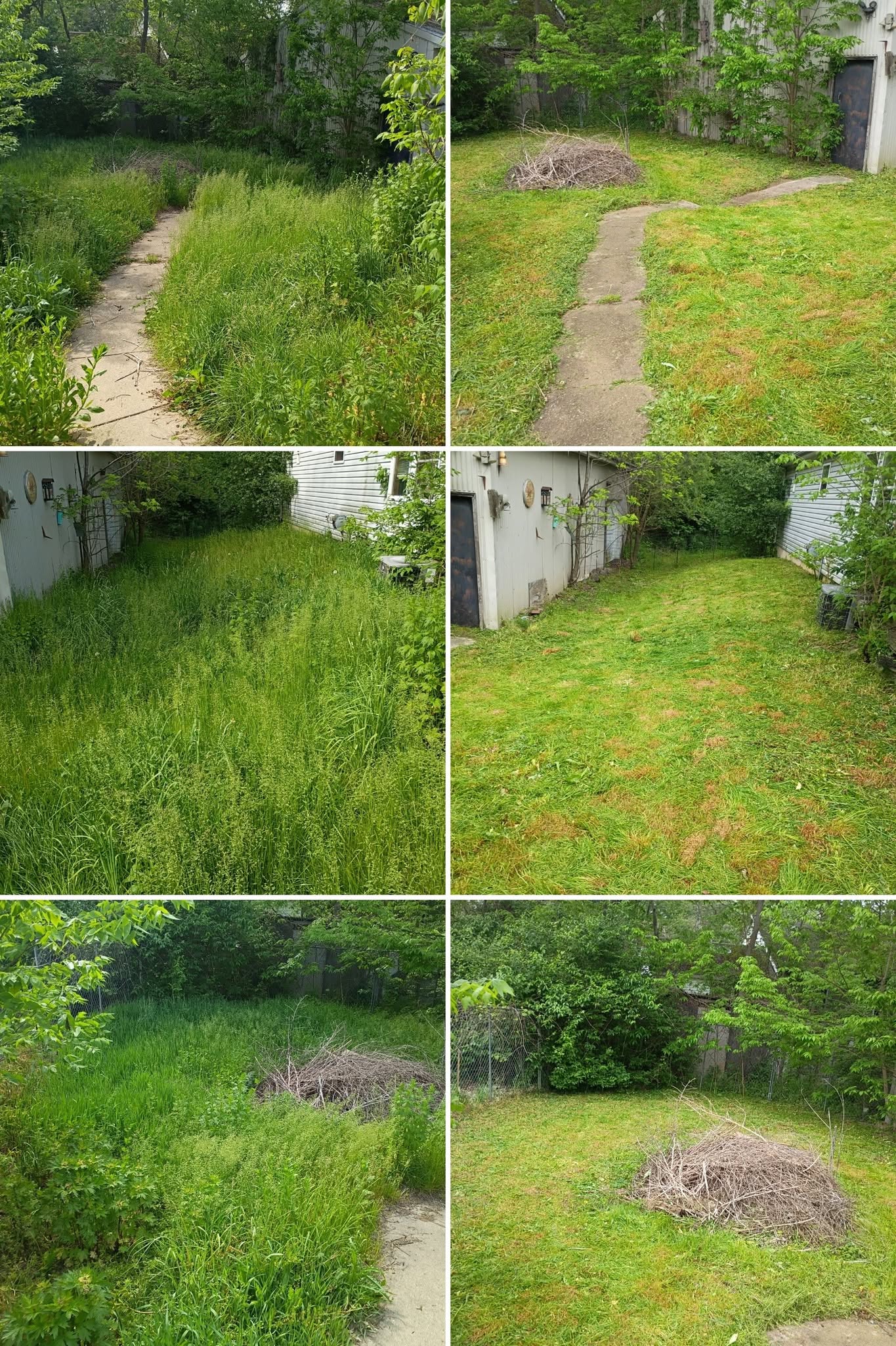 Before-and-after cleanup of an overgrown backyard and walkway
