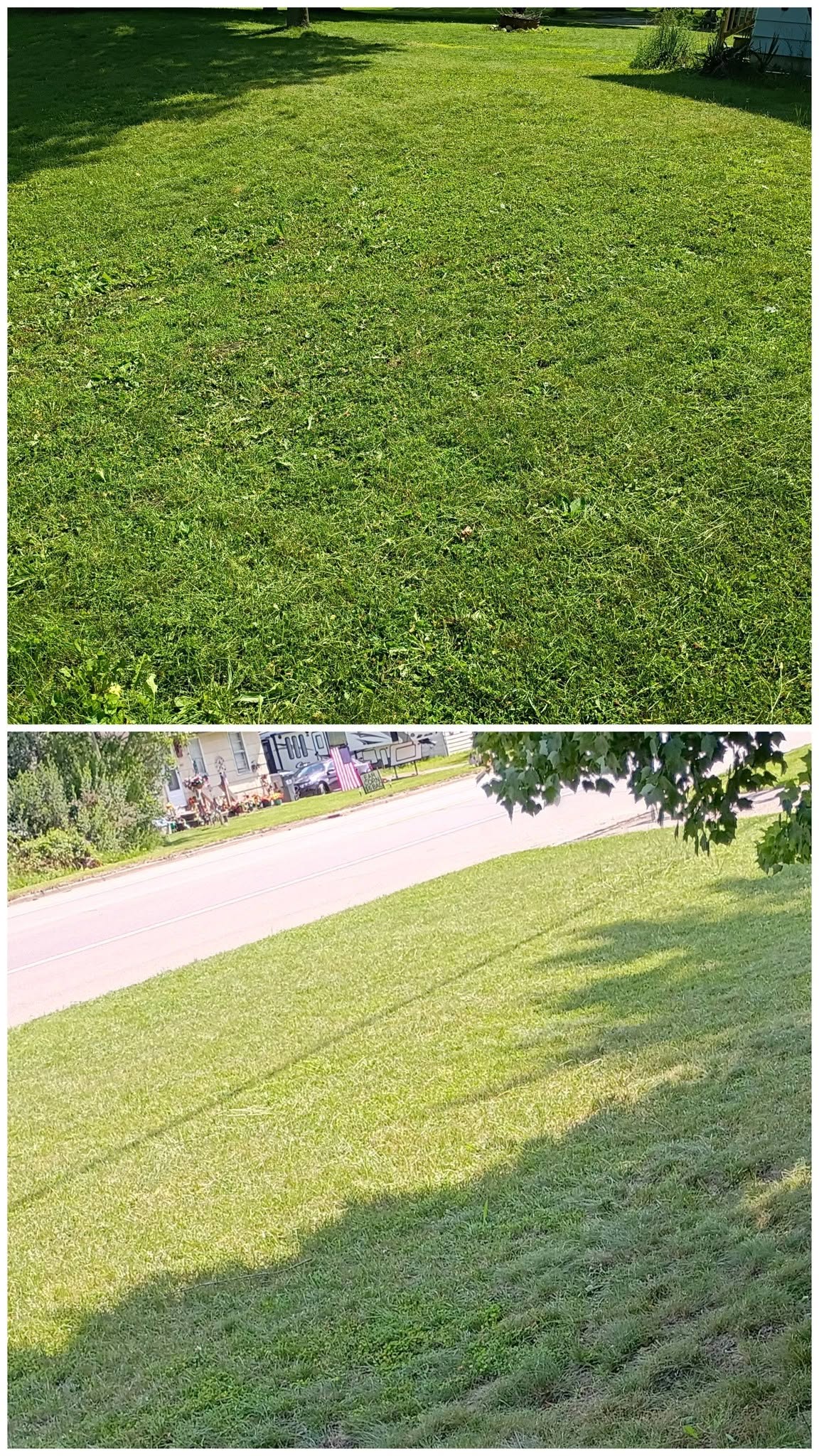 Two views of a freshly mowed residential lawn