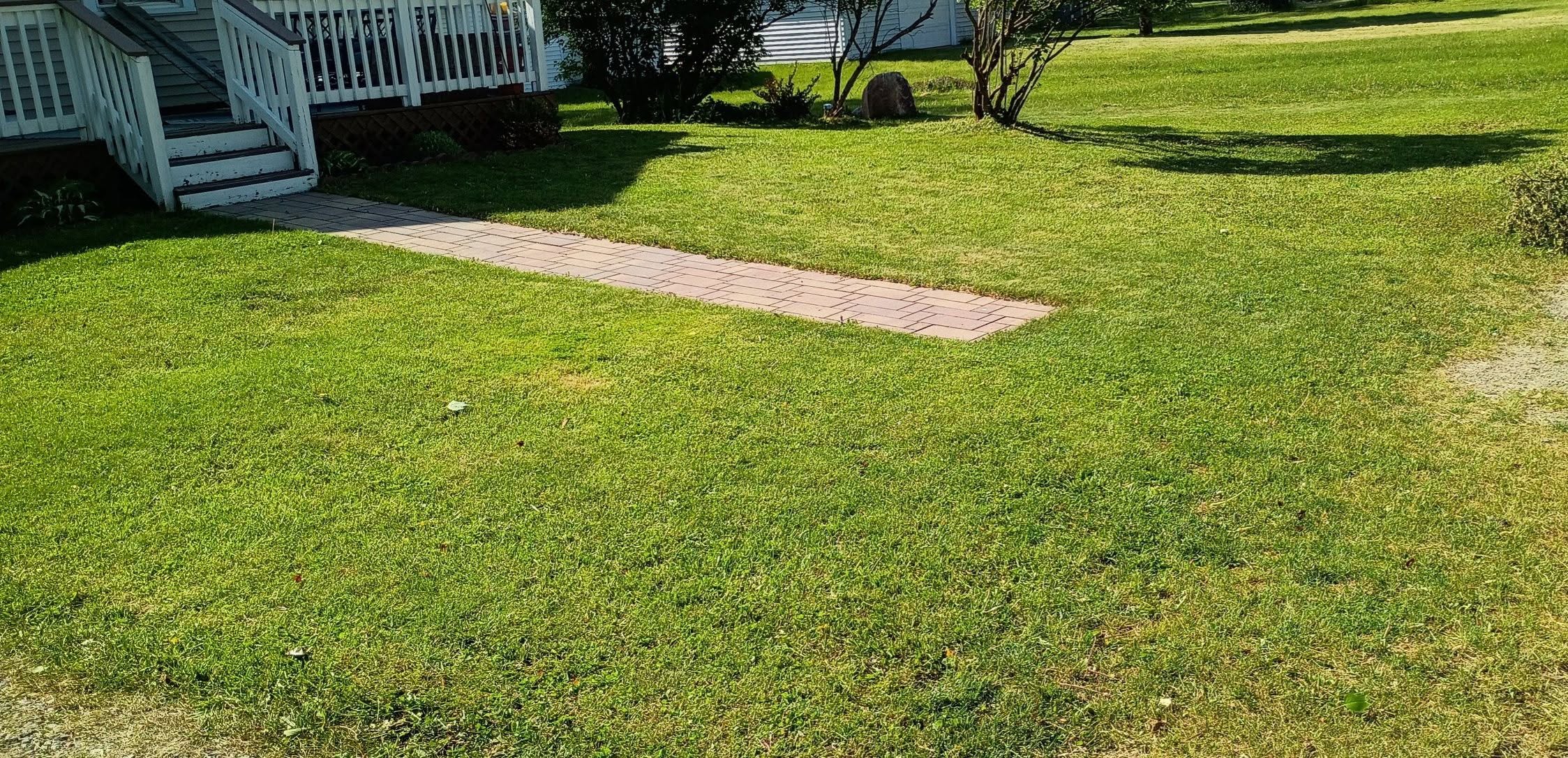 Freshly cut lawn surrounding a brick walkway