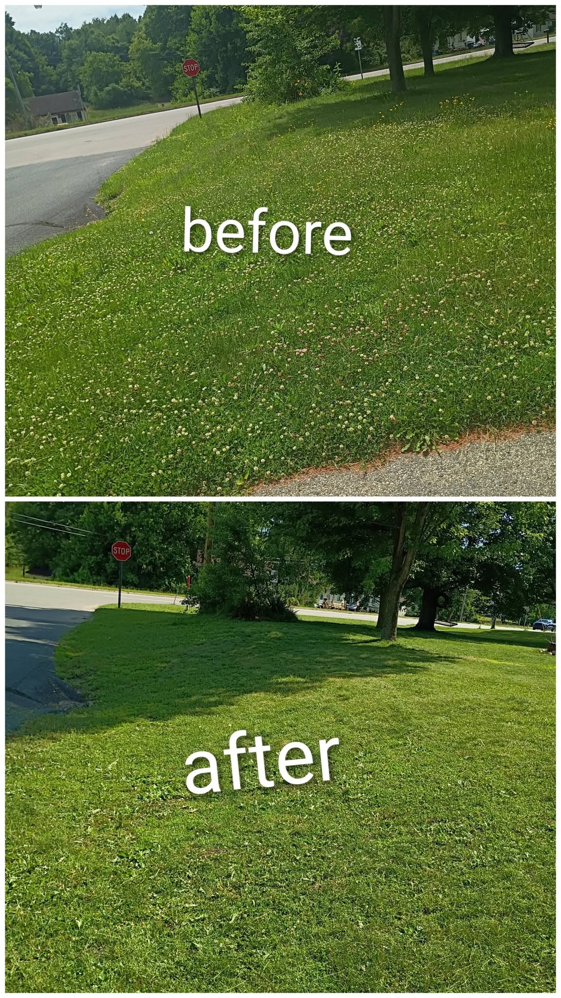 Before-and-after view of a roadside lawn