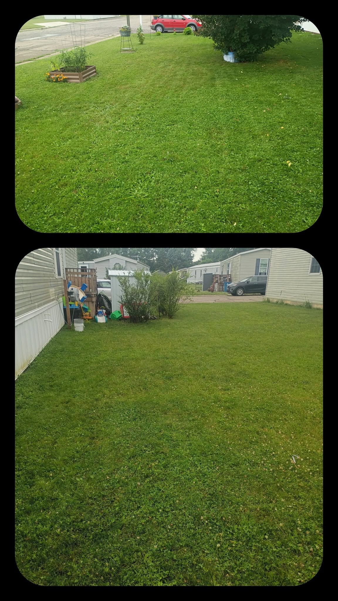 Two finished green residential lawns